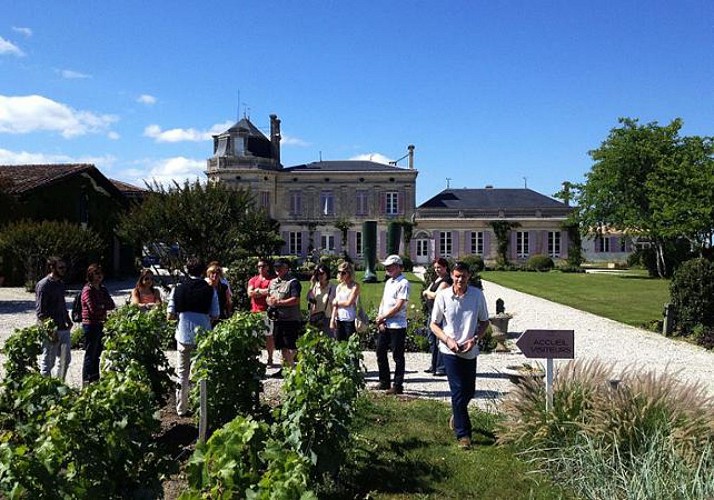 Découverte du vignoble du Médoc : visites de châteaux et dégustations de vins