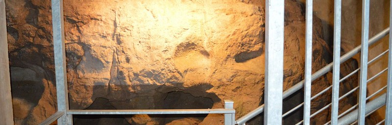 Visite guidée de la crypte archéologique du Vivier Romain et du Musée Archéologique de Fréjus