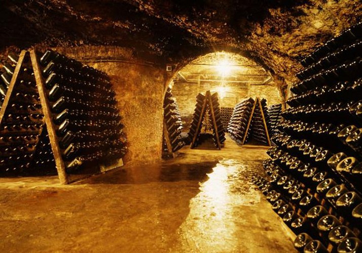 Excursión a 2 bodegas y a la fábrica de cava Freixenet