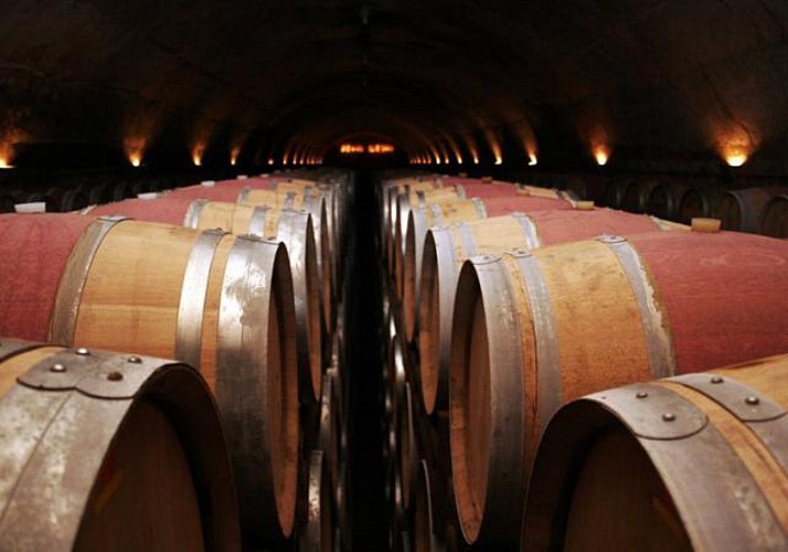 Excursion dans 2 caves à vin et à l'usine de cava "Freixenet"