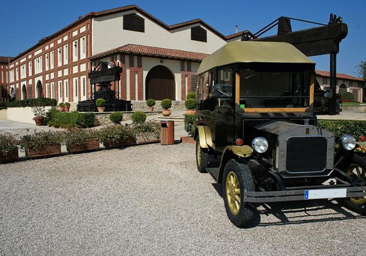Escursione in 2 cantine e alla tenuta del cava "Freixenet"