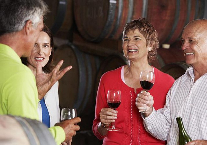 Escursione in 2 cantine e alla tenuta del cava "Freixenet"