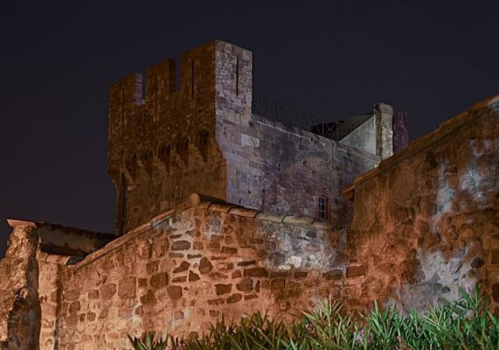 Visite guidée à pied de Fréjus en soirée