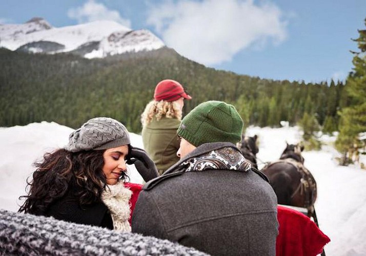 Promenade romantique en traineau à cheval dans les Rocheuses canadiennes – tour privé au départ de Banff