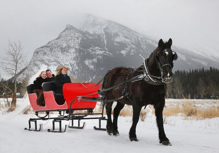 Promenade romantique en traineau à cheval dans les Rocheuses canadiennes – tour privé au départ de Banff