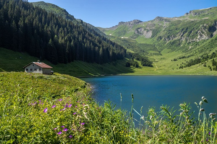 Pêche au lac de Gers
