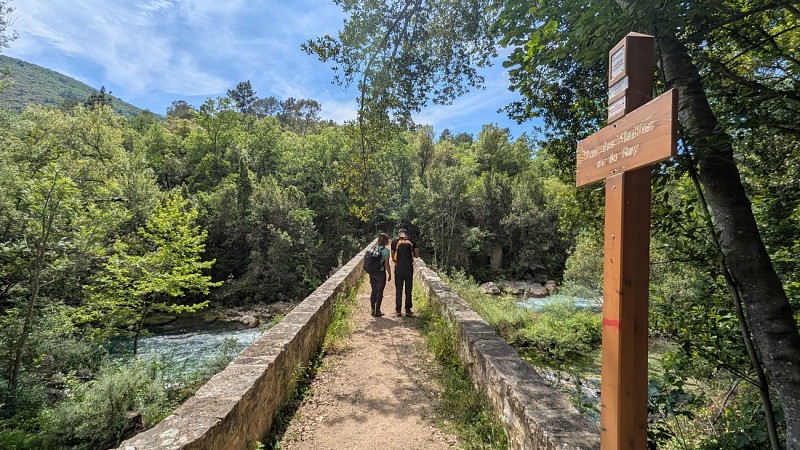 Les gorges de la Siagne - Espace Natura 2000