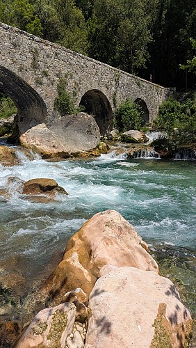 Les gorges de la Siagne - Espace Natura 2000