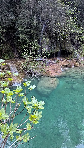Les gorges de la Siagne - Espace Natura 2000