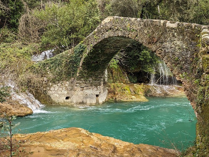 Les gorges de la Siagne - Espace Natura 2000