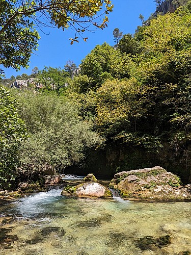 Les gorges de la Siagne - Espace Natura 2000