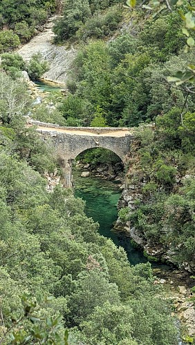 Les gorges de la Siagne - Espace Natura 2000