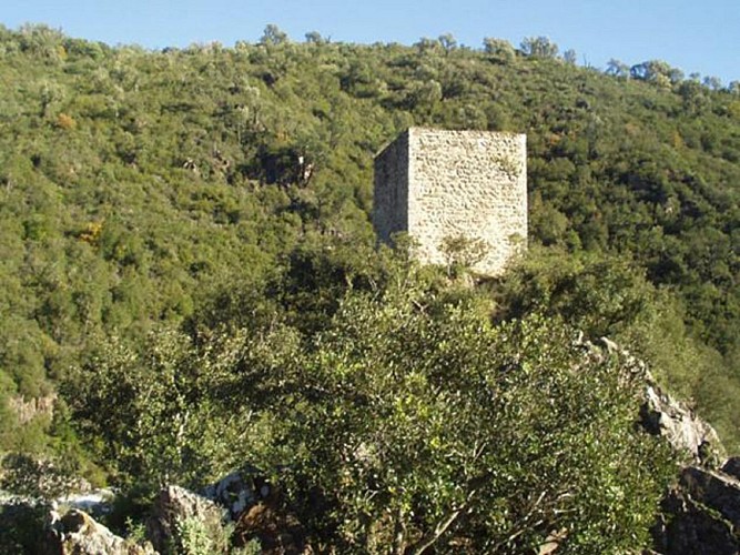 Tour sarrasine de Saint Cassien des Bois