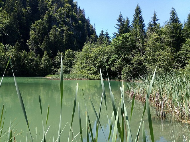 Pêche au lac de Vallon