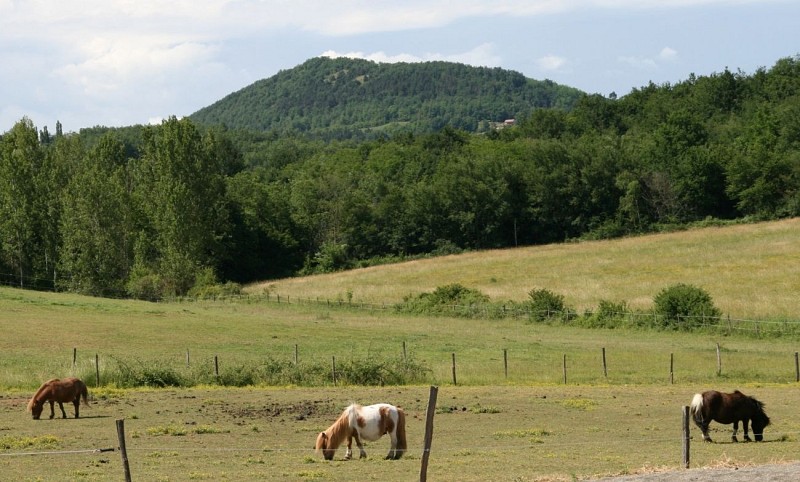Ferme du Conté SAINT-MICHEL