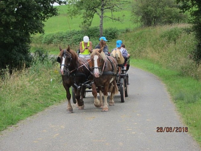 Activite-sportive-Ferme-equestre-du-Conte-SAINT-MICHEL