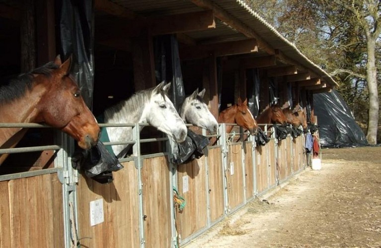 Centre Equestre Moulin de Parade box LHERM