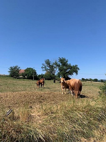 PR8 Circuit du Canal de Berry