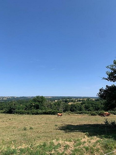 PR8 Circuit du Canal de Berry