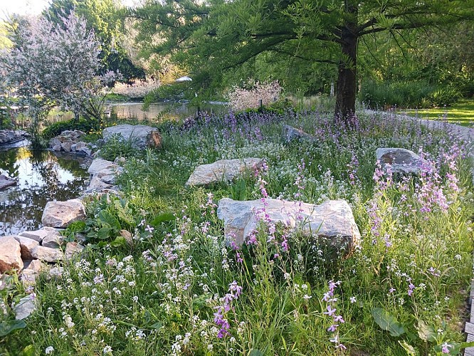 Le jardin de Suzanne©N. Blot (22)