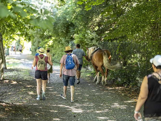 2nd Boerschoise gourmet walk