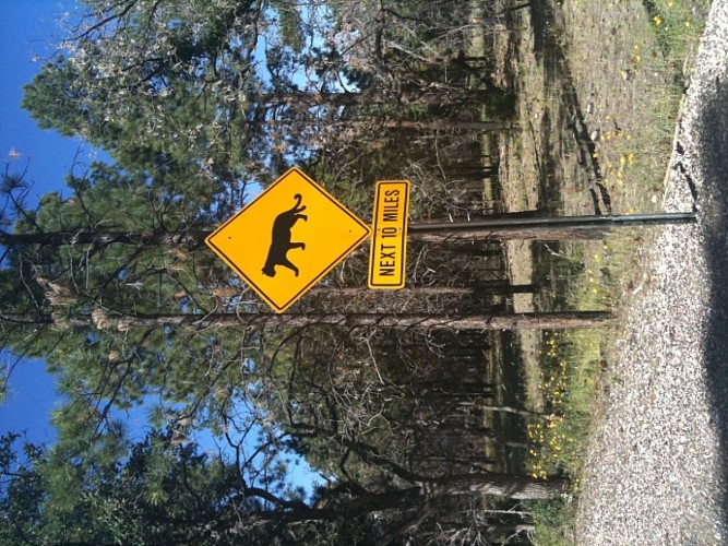 Grand canyon village