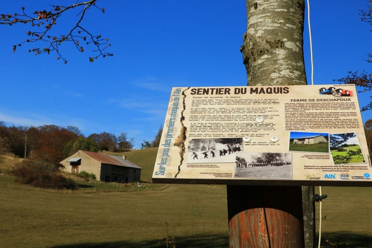 Stories of Resistance: commented hike on the Maquis trail on the Plateau de Retord