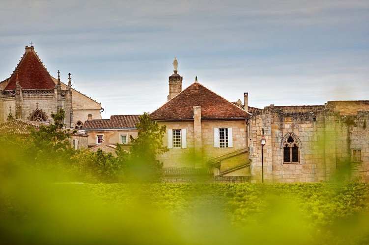 Couvent_des_Jcaobins_Vignes (2)
