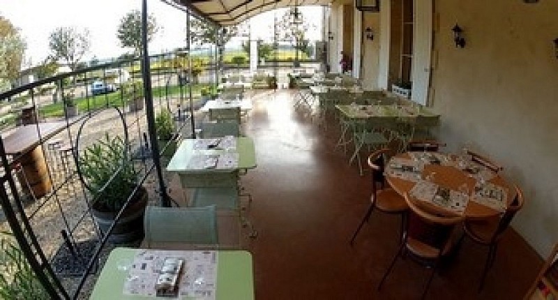 Les marronniers