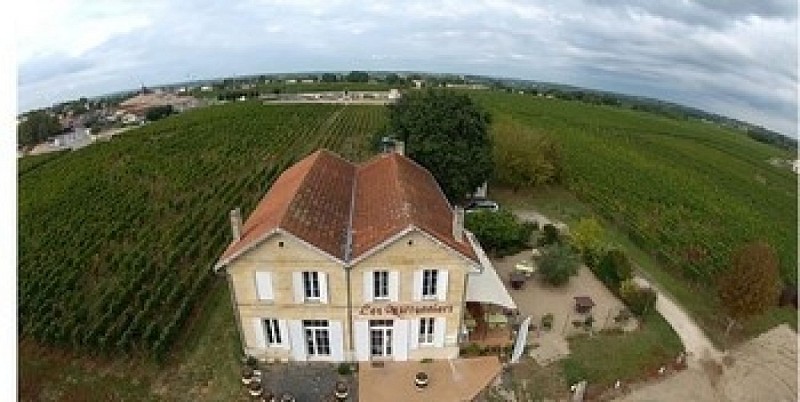 Les marronniers