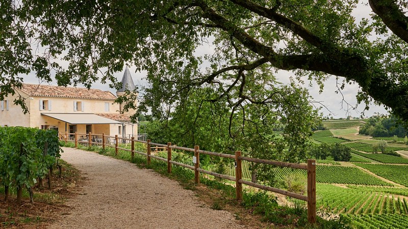 Guinguette Panoramique Tour Baladoz Saint Emilion Grand Cru Classé (2)