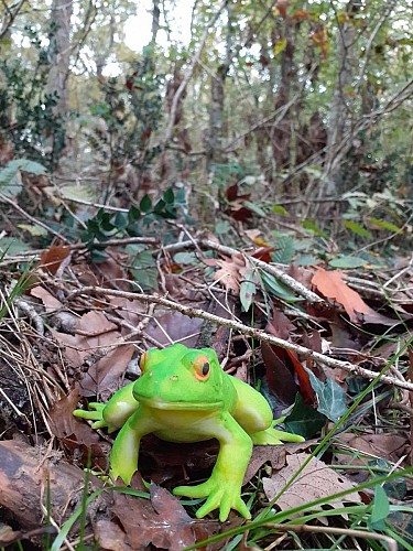 Géocaching Les Cachettes de la Biodiversité