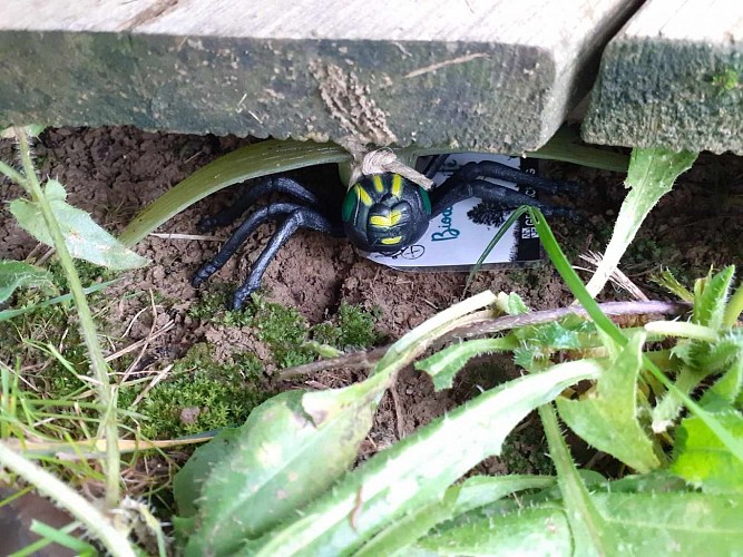 Géocaching Les Cachettes de la Biodiversité