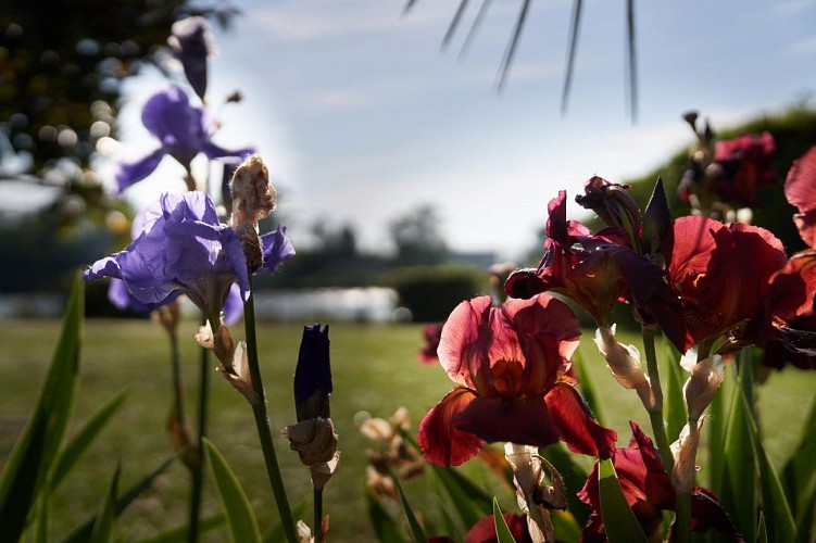 photoPrintemps