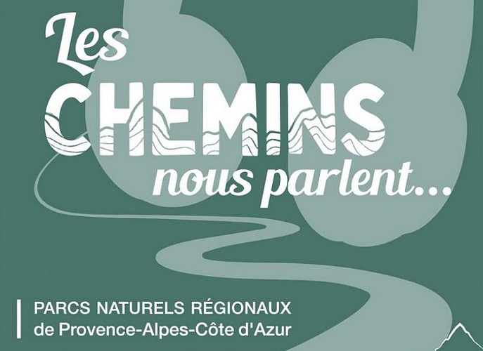Les patous de la bergère