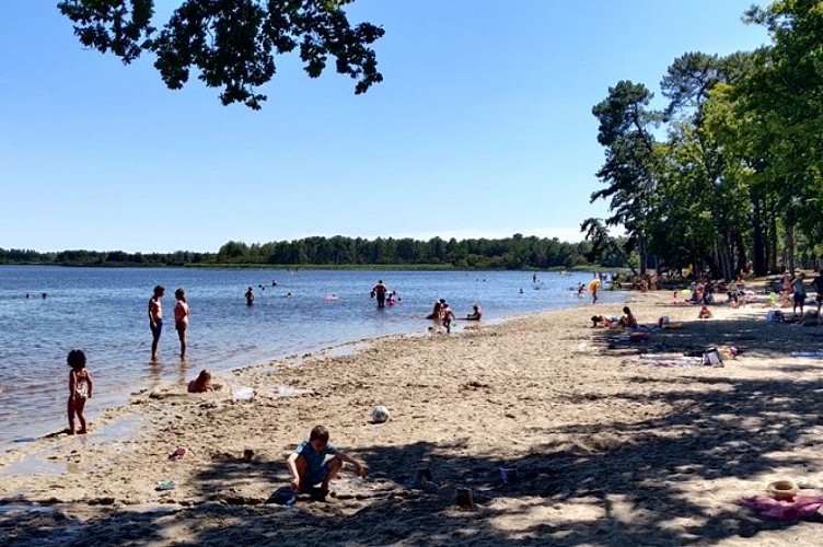 Bellebouche2020-©Constant