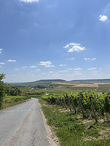 chemin de la source à epernay 