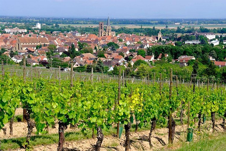 Ville Rouffach