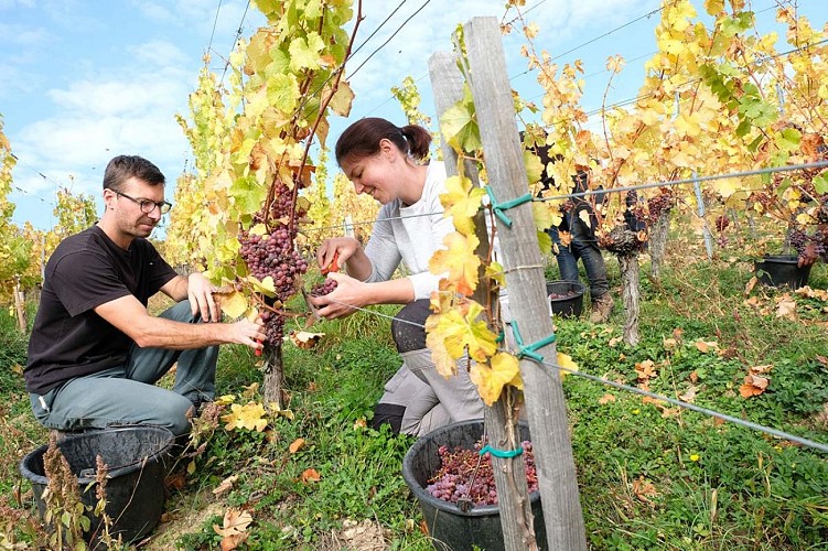 Jérôme NEUMEYER et Marie NEUMEYER-TONNER à Molsheim
