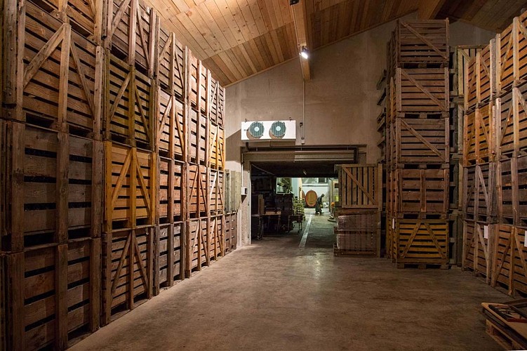 Cave du Domaine NEUMEYER à Molsheim