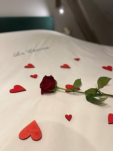 Chambre Rez de jardin