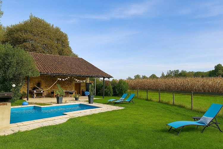 -goos-les-tournesols-adour-chalosse-tursan--ref--204842