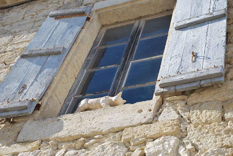 La Légende des Chats d'Angéline