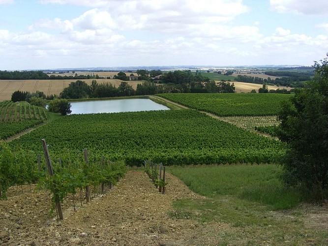 Domaine d'Embidoure