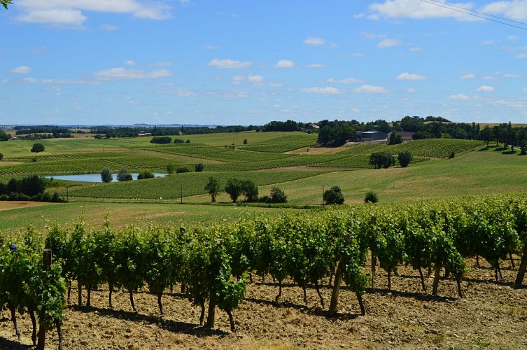 Domaine d'Embidoure