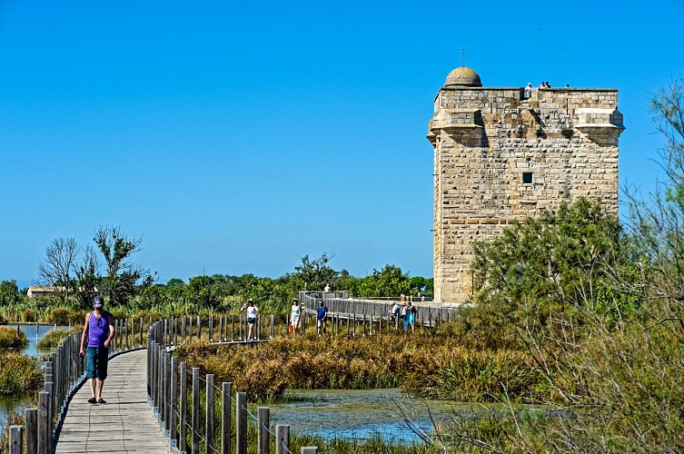 ViaRhôna - Aigues-Mortes > Tour Carbonnière