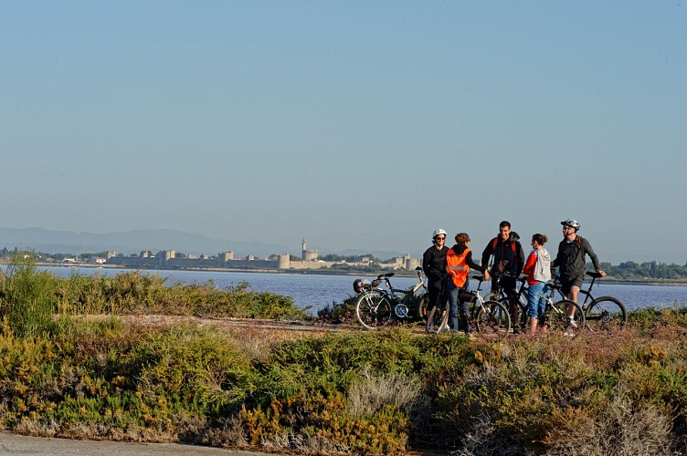 "Cartoguide"  - Terre de Camargue