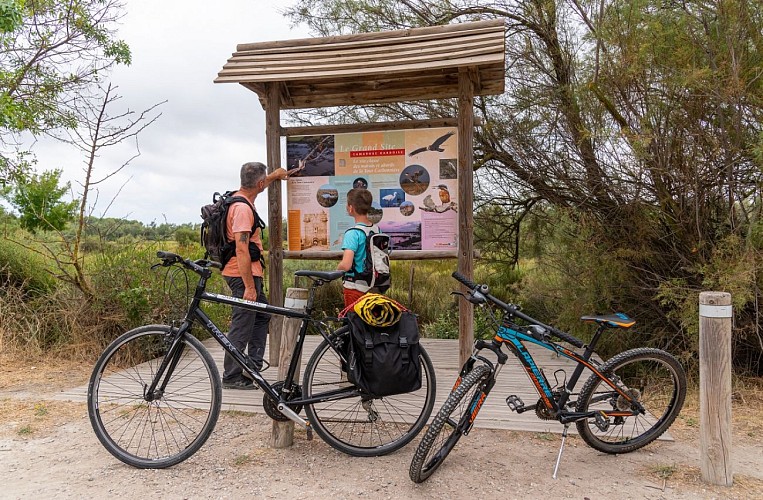 "Cartoguide"  - Terre de Camargue