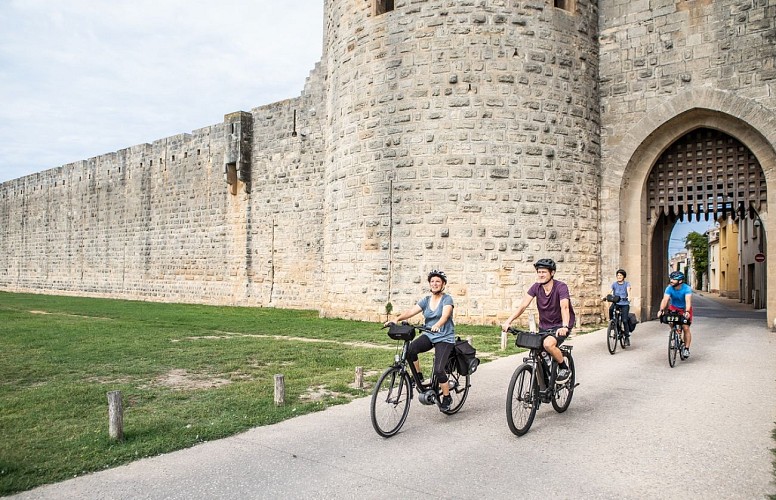 "Cartoguide"  - Terre de Camargue