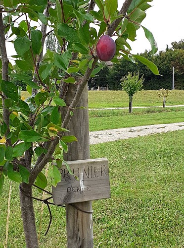 Plan d'eau floral de Fourcès